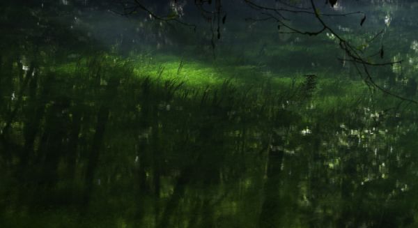 Paysages Haute-Saône -Source du Planey