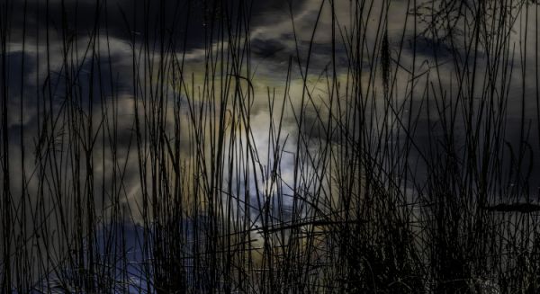 Paysages Haute Saône