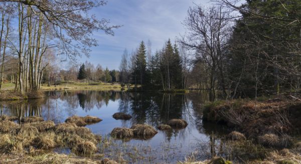 Paysages Haute Saône - 1000 étangs (Griou)
