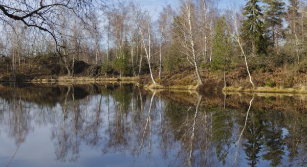 Paysages Haute Saône - 1000 étangs (Griou 2)
