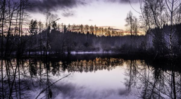 Paysages Haute Saône - 1000 étangs