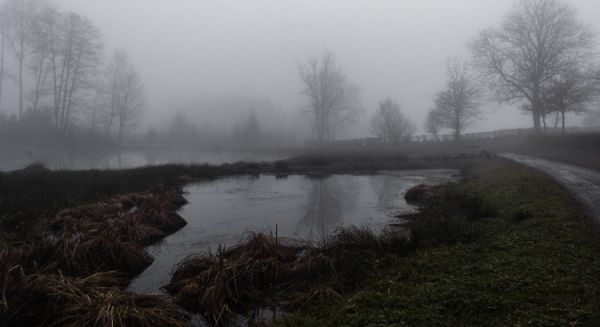 Paysages Haute Saône - La Marceline