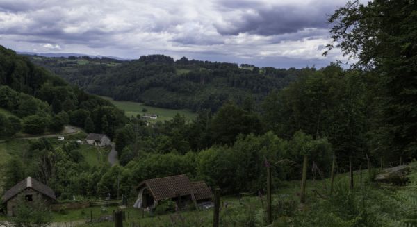 Paysages Haute Saône - 'Les Fouillies de la Goutte'