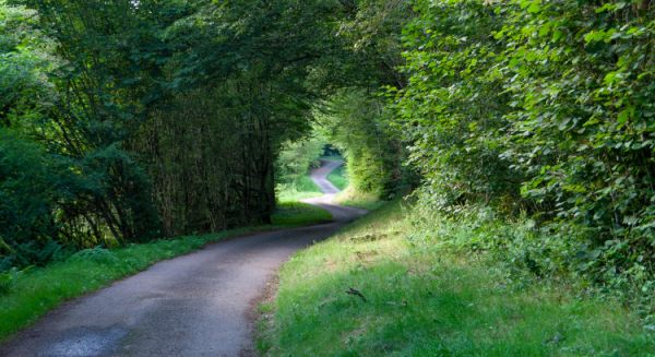 Paysages Haute Saône