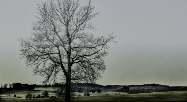 Paysages Haute Saône