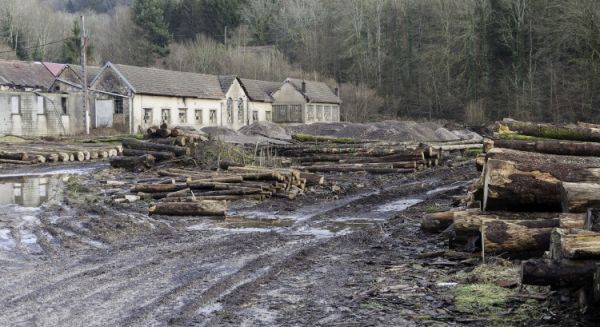 Paysages Haute Saône