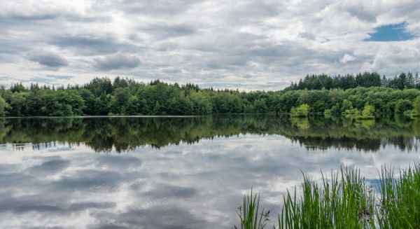 Paysages Haute Saône - 1000 étangs