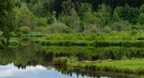 Paysages Haute Saône -1000 étangs