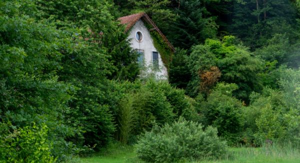Paysages Haute Saône - La Mer