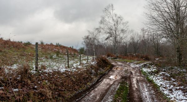 Paysages Haute Saône