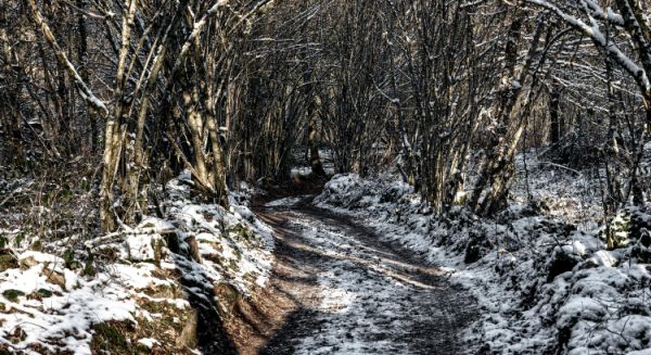 Paysages Haute Saône