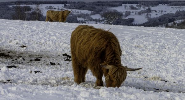 Paysages Haute-Saône