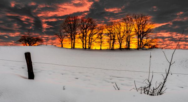 Paysages Haute Saône - 1000 étangs