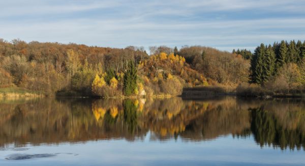 Paysages Haute Saône - 1000 étangs