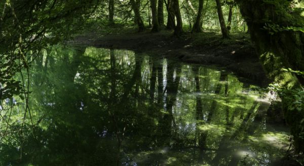 Paysages Haute-Saône -Source du Planey