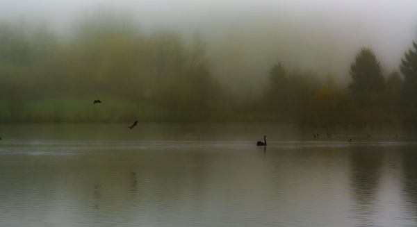 Paysages Haute Saône - 1000étangs