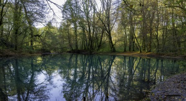 Paysages Haute Saône - Sources du Planey (vraies couleurs)