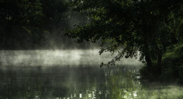 Brumes sur la Petite Saône