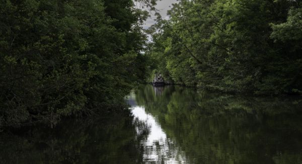 Petite Saône - Accès Marina de Corre