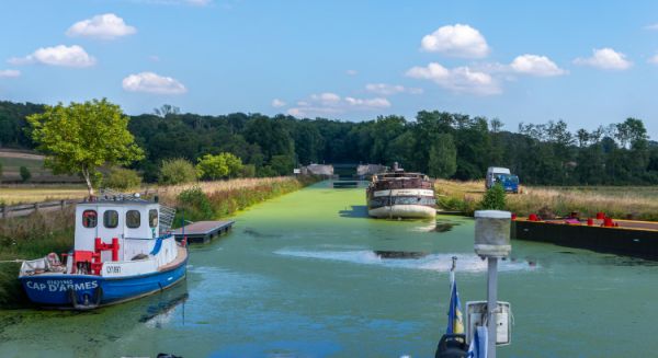 Petite Saône - Lentilles d'eau (aval tunnel de St Albin)